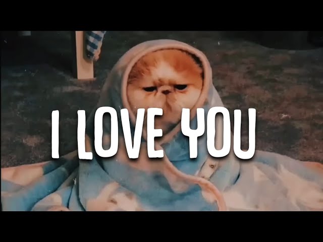 I Love You - Kevin Rater (remix cute) / (Vietsub + Lyric) Tik Tok Song class=