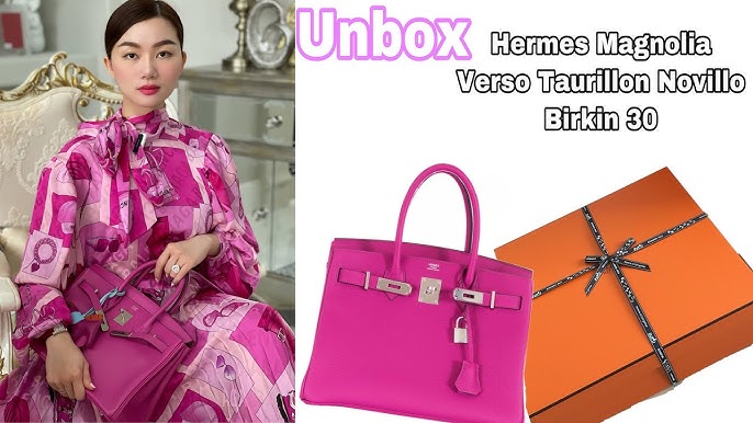 Hermes Birkin 25 Bag Magnolia Togo Palladium Hardware • MIGHTYCHIC • 