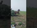 Horse with overload Cart stuck horse riding horse for racing horse for agriculture in Punjab #viral