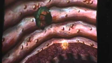 spongebob squarepants movie game walkthrough part 10