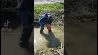 How to catch minnows without a trap! 😂 #shorts