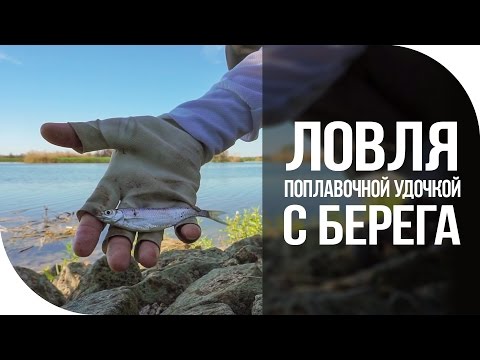 Ловля поплавочной удочкой с берега