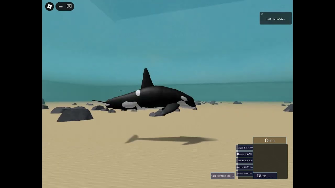 wild ocean gameplay