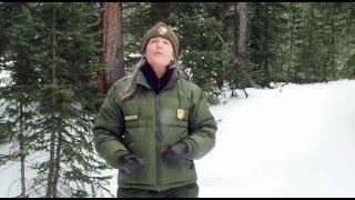 Find Your Park: Hidden Valley Snowplay Area at Rocky Mountain National Park