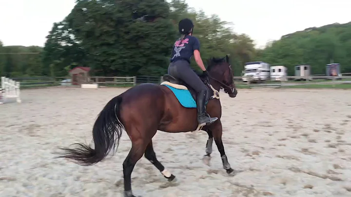 Jocelyn Kline Jumping Riding Compilation