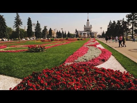 Купить торф дешево.