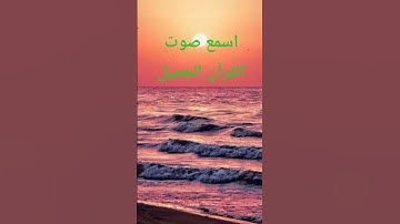 #سورة_إبراهيم #عبدالباسط_عبدالصمد #تلاوة_مرتلة #قرآن_كريم #تلاوة_خاشعة #تلاوة_مجودة #اكسبلور  #قرآن