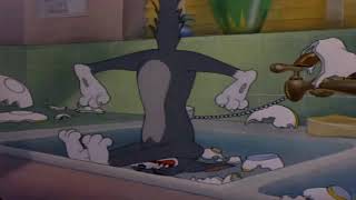 Tom & Jerry | Classic Cartoon | Solid Serenade