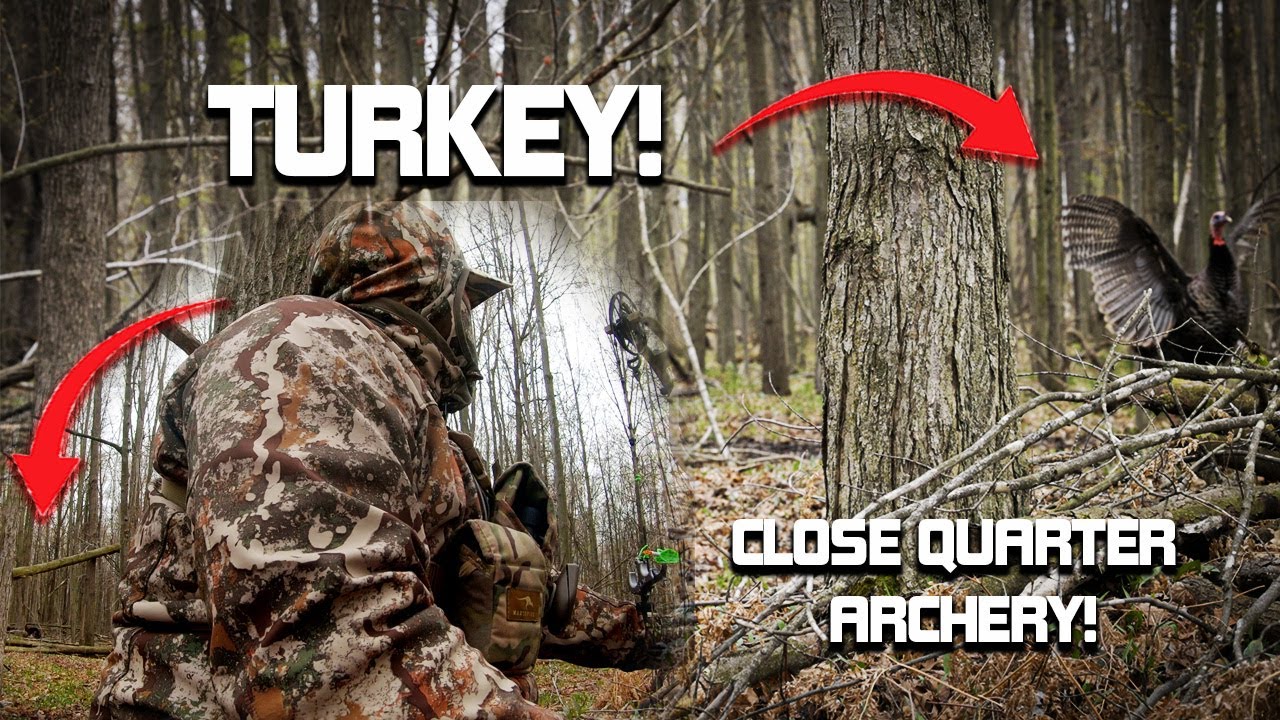 Close Range Turkey Action with NO BLIND!