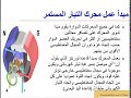 محركات التيار المستمر 