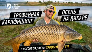 ТРОФЕЙНАЯ ОСЕНЬ. Первая результативная осенняя рыбалка сезона 2020.