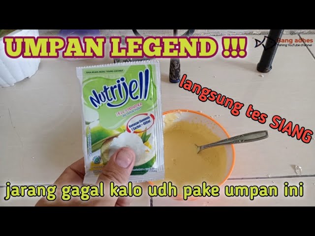 UMPAN IKAN MAS NUTRIJEL KELAPA MUDA || jarang gagal kalo udah pake umpan andalan ini class=