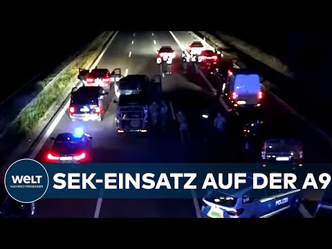 Video: Thailändische Polizei Verhaftet Mann Aus Den Vereinigten Arabischen Emiraten Mit Bären Und Panthern Im Fall