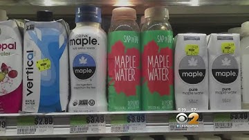 Latest Trend: Maple Water