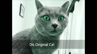 Dis Original Style   Tek 9