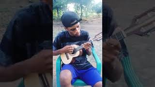 Vídeo de Pikasso (ver. 2)