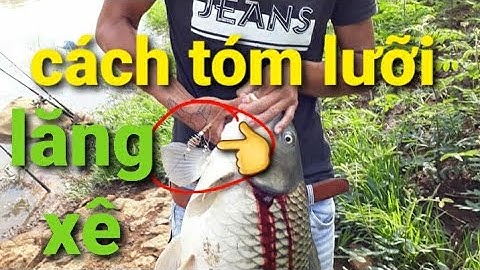 cách tóm lưỡi câu LĂNG XÊ. câu cá chép, mè, dảnh, tra, trê,..vv..sông hồ tự nhiên hiệu quả / fishing