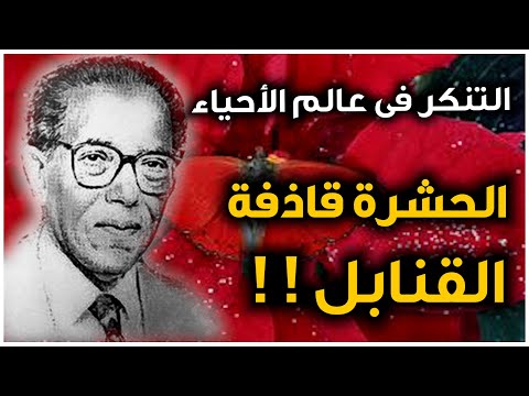 التنكر في عالم الأحياء روائع من العلم والإيمان مع د مصطفى محمود