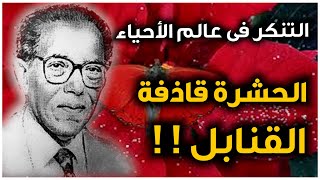 التنكر في عالم الأحياء __ روائع من العلم والإيمان _ مع د. مصطفى محمود