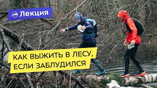 Как выжить в лесу, если вы заблудились