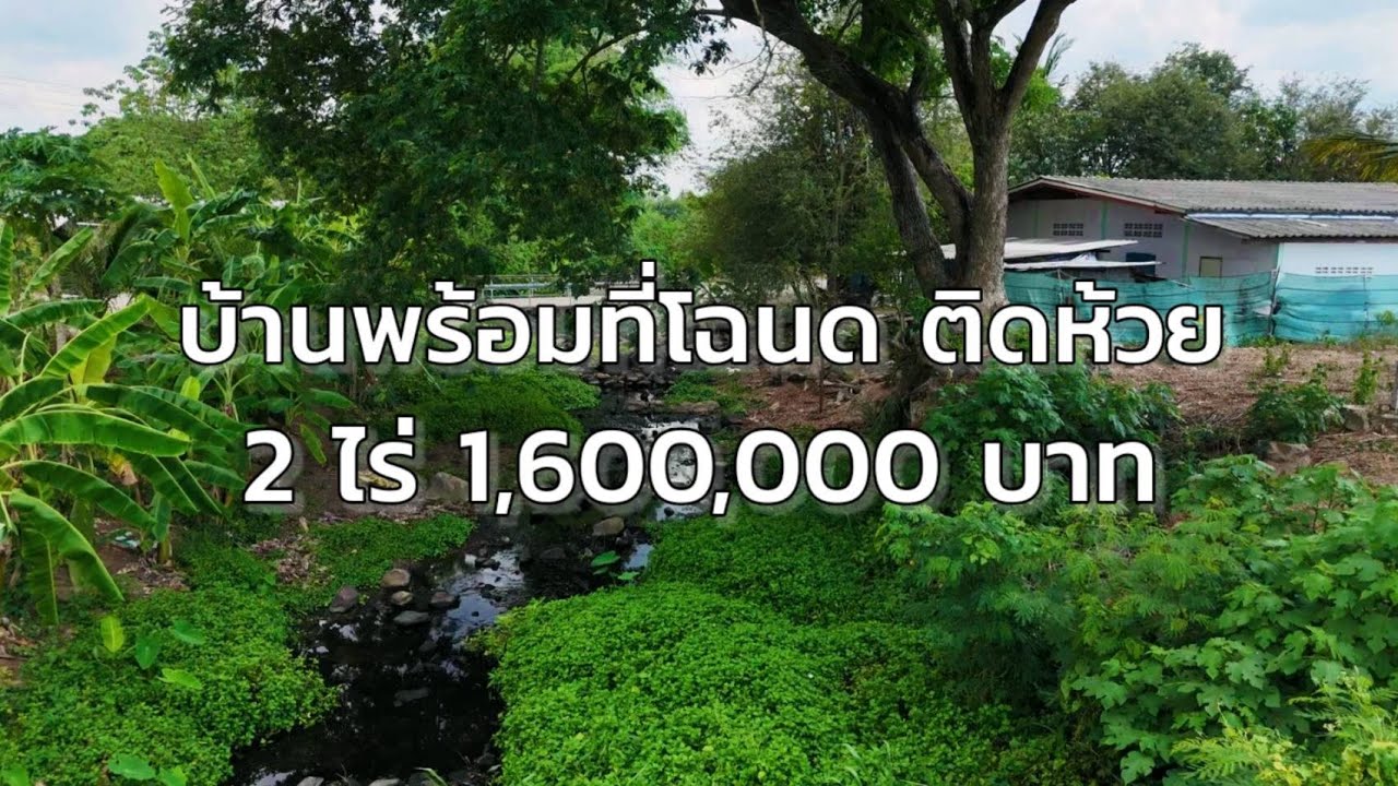 บ้านพร้อมที่โฉนดติดห้วย  2 ไร่ เพียง 1,600,000 บาท ต.ชัฏป่าหวาย อ.สวนผึ้ง จ.ราชบุรี