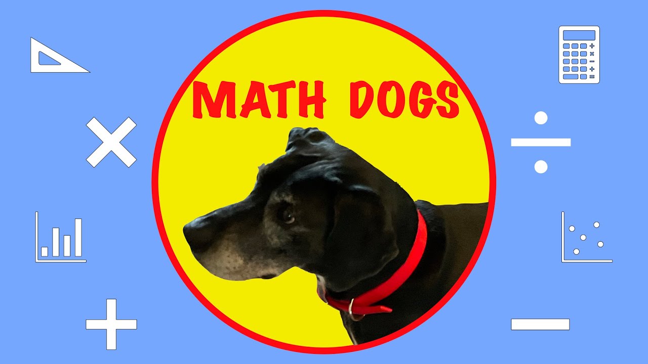 Paws Doing Math Math is Better with your Dog! - YouTube
