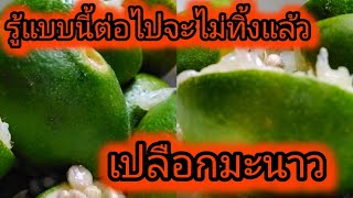 รู้รอบตัว 🟩 รู้แบบนี้ต่อไปจะไม่ทิ้งแล้ว เปลือกมะนาว ของดีที่ทิ้งไป🍋🍋🍋