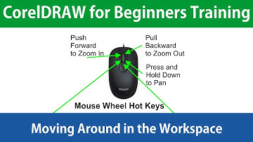 CorelDRAW  for Beginners Moving Around in the Work Space Training Tutorial