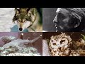 Say Goodbye - 1972 Wildlife Conservation Documentary - Narrated by Rod McKuen