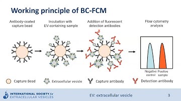Bead-capture flow cytometry of extracellular vesicles