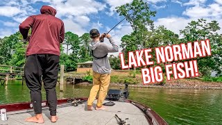 Two Giant Fish get us the WIN!?!?!? Day 2 Lake Norman Tournament Fishing (pt 2)