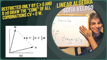 1.1.19 Restricted only by c ≥ 0 and d ≥ 0 draw the "cone" of all combinations cv + d w.