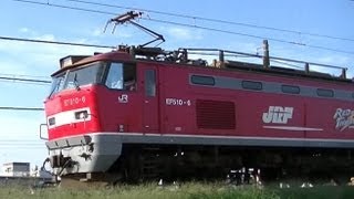 レッドサンダーEF510-6 高速貨物4075レ 東青森行