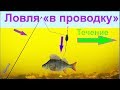 Ловля в проводку, неспортивная оснастка, огрузка, Рыбалка, Fishing angeln la pesca câu cá 钓鱼 рыбалка