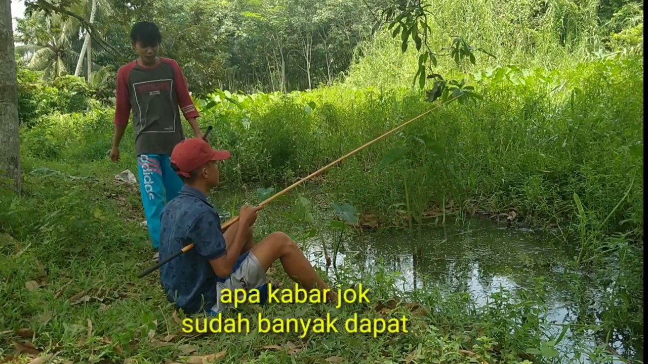 Video Lucuxd83dxde02 Mancing Ikan Malah Dapat Youtube