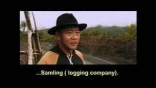 Logging in Malaysia