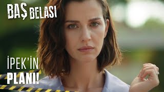 Bir planım var! - Baş Belası