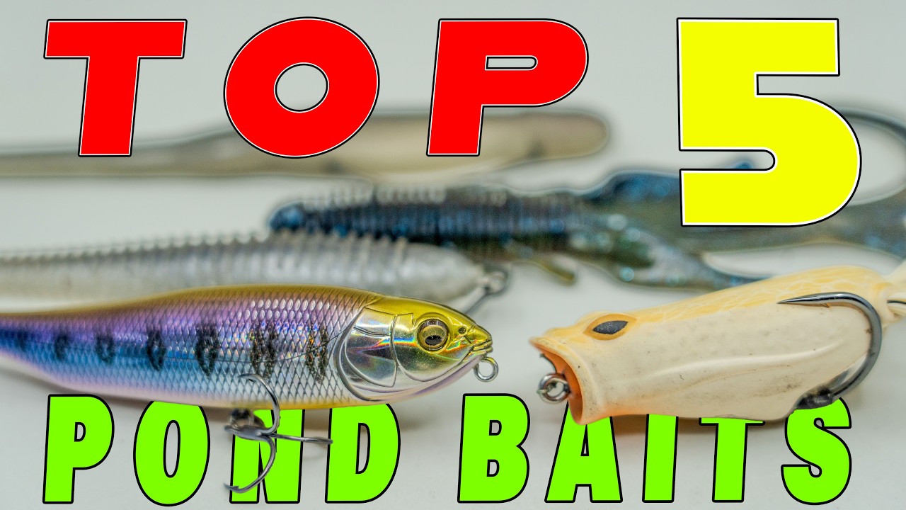 TOP 5 BAITS FOR POND FISHING!!!