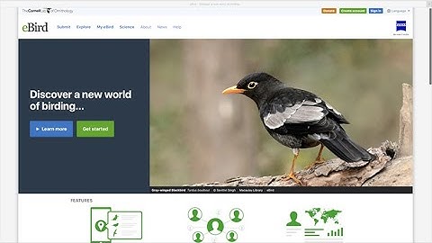 ASK BIRDGUY 09: eBird at Home