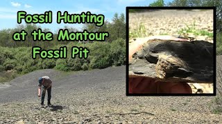 Fossil Hunting at the Montour Fossil Pit