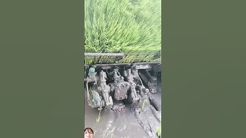 Máy Cấy Lúa Củ Trung Quốc Làm Việt Thay Thế Người Rất Hiệu quả