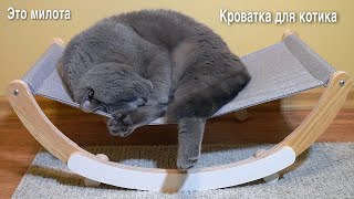 Новая  кроватка для кота. Реакция кота / Big cat bed / the cutest video with a cat