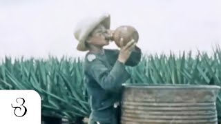 Aktivitas Buruh Pabrik & Perkebunan di Hindia Belanda tahun 1940 - Jawa Barat Tempo Dulu