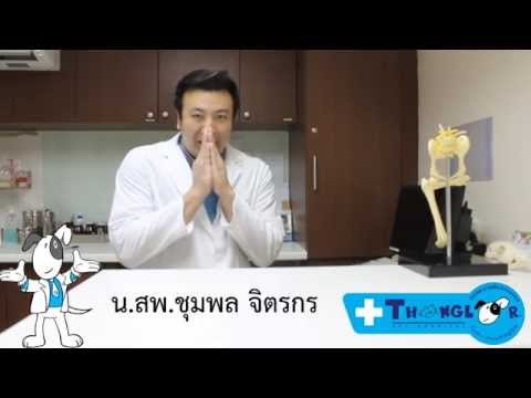 โรคเกี่ยวกับระบบประสาทหรือโรคที่เกี่ยวกับสมอง ของสัตว์เลี้ยง โรงพยาบาลสัตว์ทองหล่อ