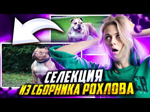 Селекция. Все задачи из сборника Рохлова 2023 | Напольская Ксения