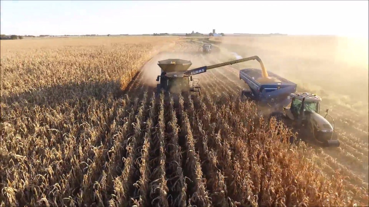 Stewart Farms 2016 Highlights YouTube