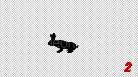 Rabbit Silhouettes Pack | Motion Graphics - Envato elements