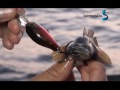 Rock Fishing на Черном море часть 1.