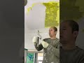 Painter Applying putty #painter #shorts #walldecor #construction #renovation 260307