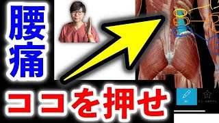 【今すぐ楽になる！】腰痛を解消する「腰方形筋はがし」【腰痛　ストレッチ　腰方形筋】